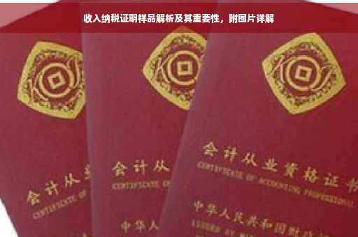 收入纳税证明样品解析及其重要性，附图片详解