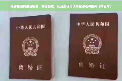 揭秘轮胎质量证明书，关键要素、认证流程与优质轮胎选购指南（附图片）