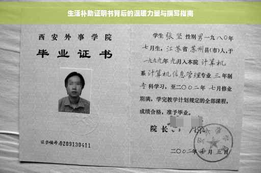生活补助证明书背后的温暖力量与撰写指南