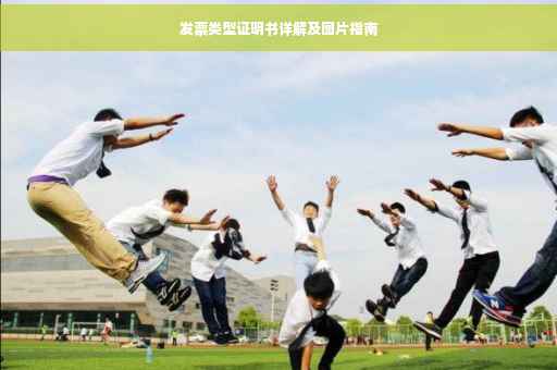 发票类型证明书详解及图片指南