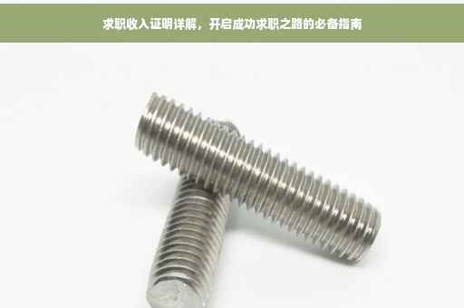 求职收入证明详解，开启成功求职之路的必备指南