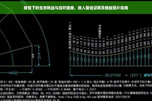 疫情下的生存挑战与应对策略，收入降低证明及模板图片指南