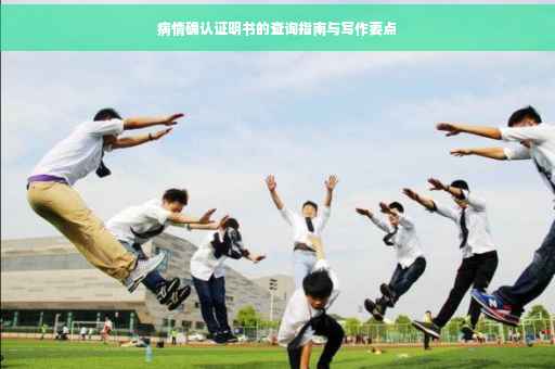 病情确认证明书的查询指南与写作要点
