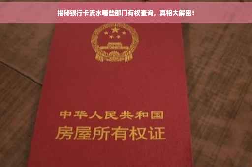 揭秘银行卡流水哪些部门有权查询，真相大解密！