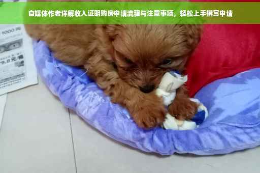 自媒体作者详解收入证明购房申请流程与注意事项，轻松上手撰写申请