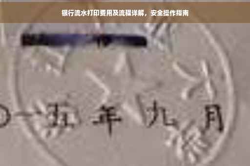 银行流水打印费用及流程详解，安全操作指南