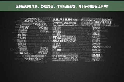 医保证明书详解，办理流程、作用及重要性，如何开具医保证明书？