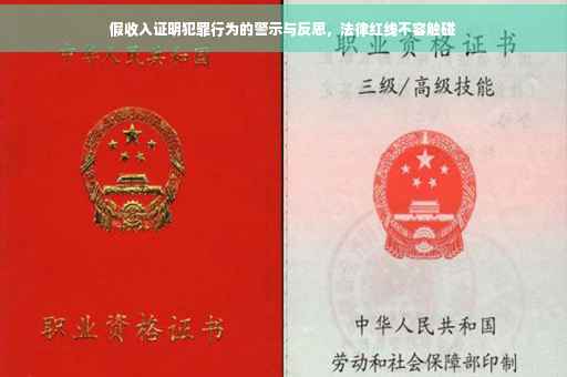 假收入证明犯罪行为的警示与反思，法律红线不容触碰