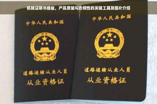 机械证明书模板，产品质量与合规性的关键工具及图片介绍