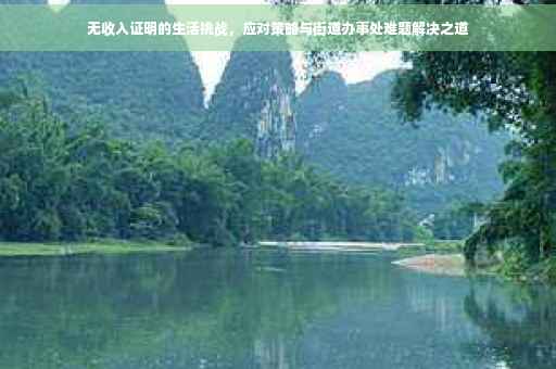 无收入证明的生活挑战，应对策略与街道办事处难题解决之道