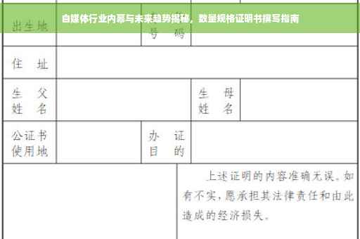 自媒体行业内幕与未来趋势揭秘，数量规格证明书撰写指南
