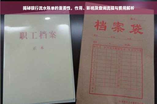 揭秘银行流水账单的重要性，作用、影响及查询流程与费用解析