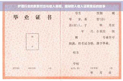 护理行业的默默付出与收入真相，揭秘陪人收入证明背后的故事