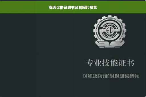 胸透诊断证明书及其图片概览
