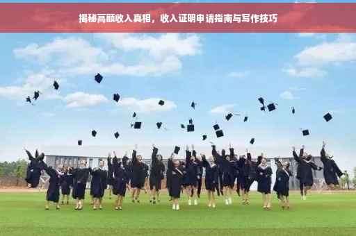 揭秘高额收入真相，收入证明申请指南与写作技巧