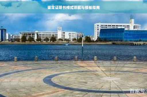 鉴定证明书格式详解与模板指南