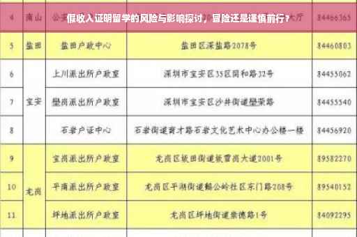 假收入证明留学的风险与影响探讨，冒险还是谨慎前行？