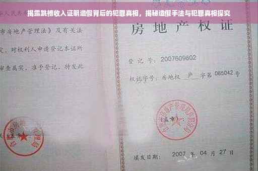 揭露跳槽收入证明造假背后的犯罪真相，揭秘造假手法与犯罪真相探究