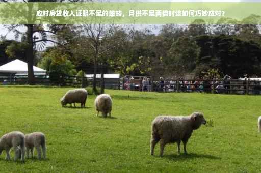 应对房贷收入证明不足的策略，月供不足两倍时该如何巧妙应对？