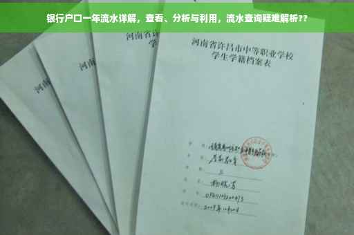 银行户口一年流水详解，查看、分析与利用，流水查询疑难解析??