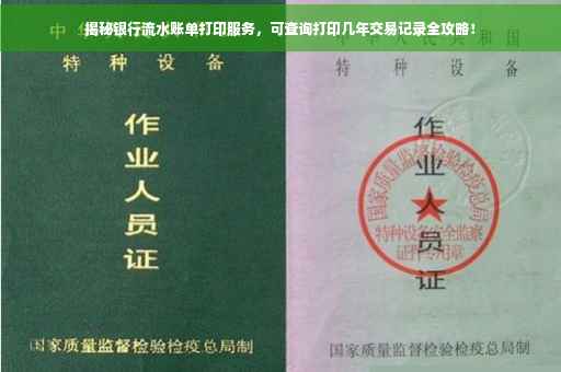 揭秘银行流水账单打印服务，可查询打印几年交易记录全攻略！