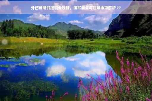 外伤证明书报销全攻略，撰写要点与注意事项解析 ??