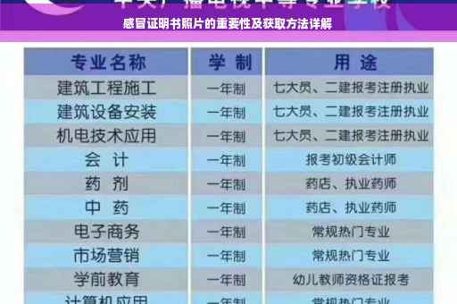 感冒证明书照片的重要性及获取方法详解