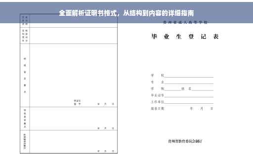 全面解析证明书格式，从结构到内容的详细指南