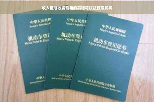 收入证明收费背后的真相与权益保障解析