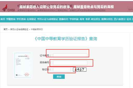 揭秘耒阳收入证明公章背后的故事，揭秘盖章地点与背后的真相