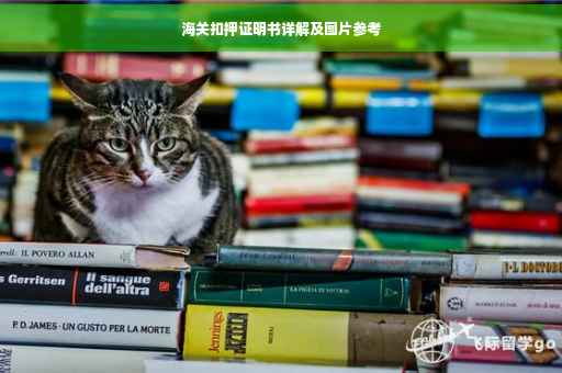 海关扣押证明书详解及图片参考