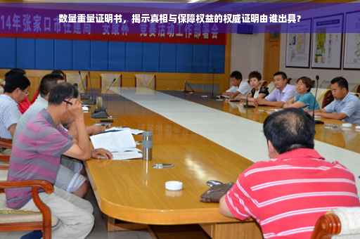 数量重量证明书，揭示真相与保障权益的权威证明由谁出具？