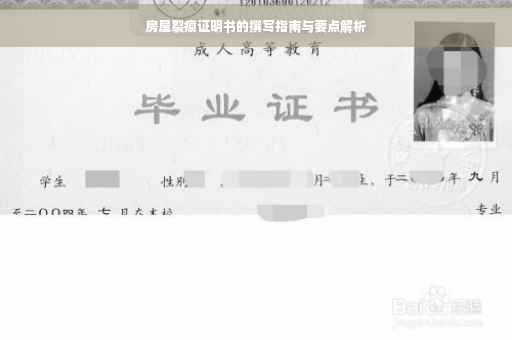房屋裂痕证明书的撰写指南与要点解析