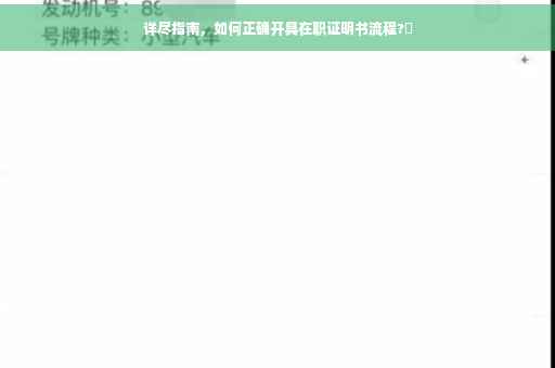 详尽指南，如何正确开具在职证明书流程?✨