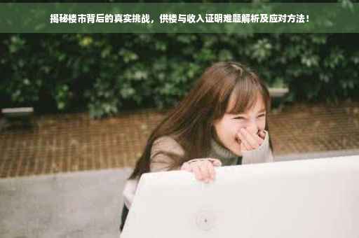 揭秘楼市背后的真实挑战，供楼与收入证明难题解析及应对方法！