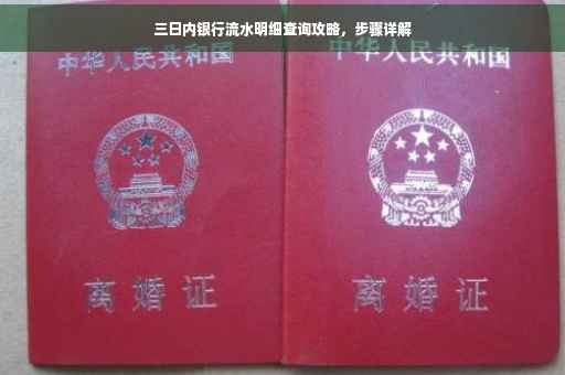 三日内银行流水明细查询攻略，步骤详解