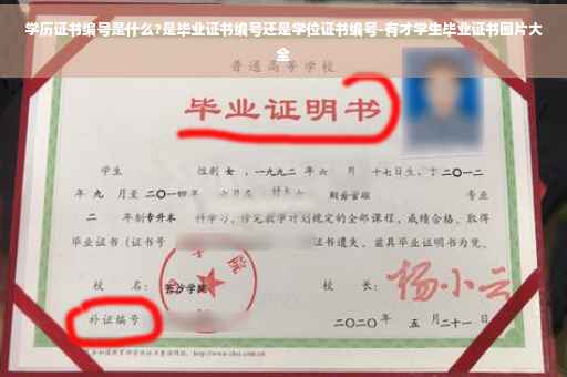 学历证书编号是什么?是毕业证书编号还是学位证书编号-有才学生毕业证书图片大全