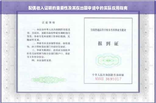 配偶收入证明的重要性及其在出国申请中的实际应用指南