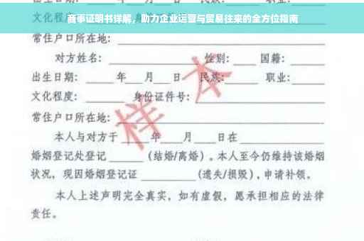 商事证明书详解，助力企业运营与贸易往来的全方位指南