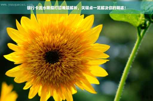 银行卡流水明细打印难题解析，关键点一览解决你的疑惑！