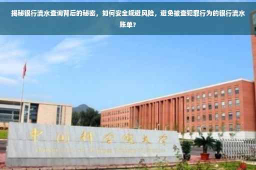 揭秘银行流水查询背后的秘密，如何安全规避风险，避免被查犯罪行为的银行流水账单？