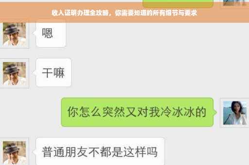 收入证明办理全攻略，你需要知道的所有细节与要求