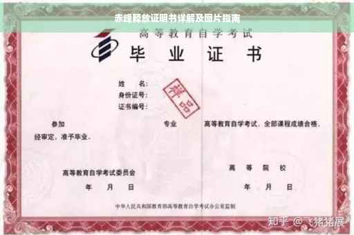赤峰释放证明书详解及图片指南