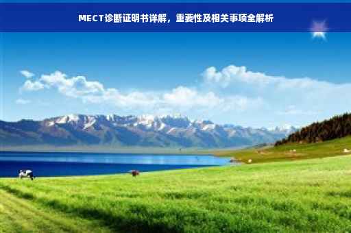 MECT诊断证明书详解，重要性及相关事项全解析