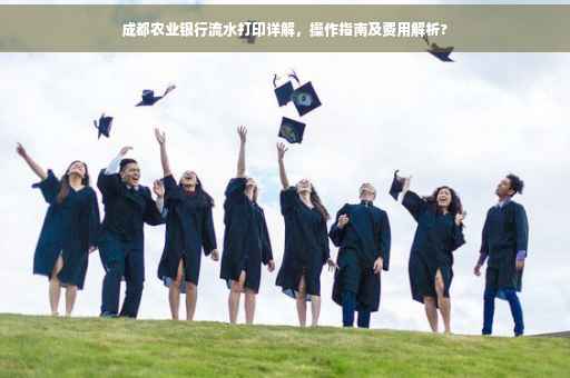 成都农业银行流水打印详解，操作指南及费用解析?