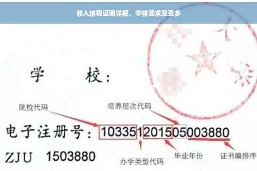 收入纳税证明详解，字体要求及更多