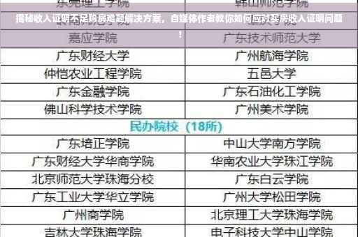 揭秘收入证明不足购房难题解决方案，自媒体作者教你如何应对买房收入证明问题！