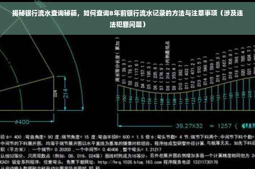 揭秘银行流水查询秘籍，如何查询8年前银行流水记录的方法与注意事项（涉及违法犯罪问题）