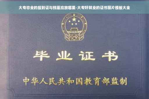 大专毕业的报到证与档案应放哪里-大专好就业的证书图片模板大全