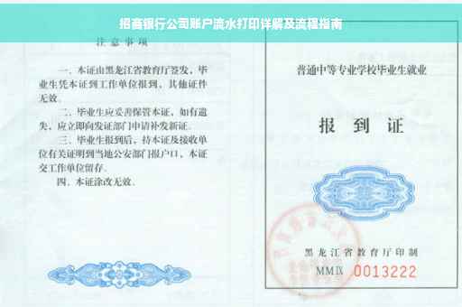 招商银行公司账户流水打印详解及流程指南